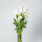 Уникальные цветы поштучно с доставкой в Санкт-Петербурге: создайте неповторимый подарок