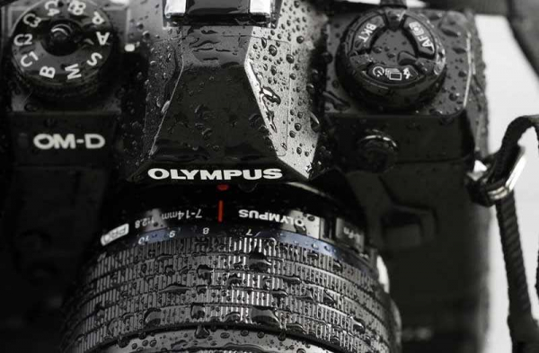 Обзор Olympus OM-D E-M1X: беззеркалка с лучшей стабилизацией